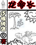 龙骑长